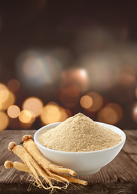 Ooops All Mushrooms Product Image-3.png