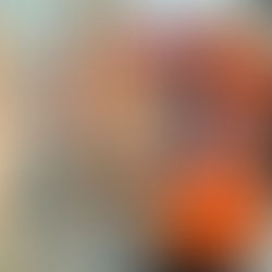 Instalador de Steel framing #196