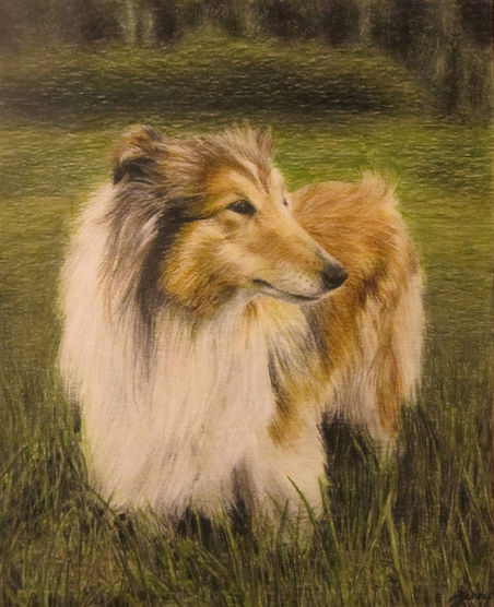 Puuväreillä tehty piirustus koirasta