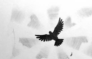 Pieni piirroskuva kyyhkysestä taivaalla