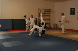 סמינר קריית ענבים