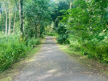 Peatlands Park
