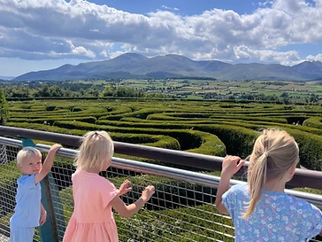 Castlewellan Forest Park