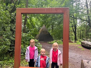 Garvagh Forest
