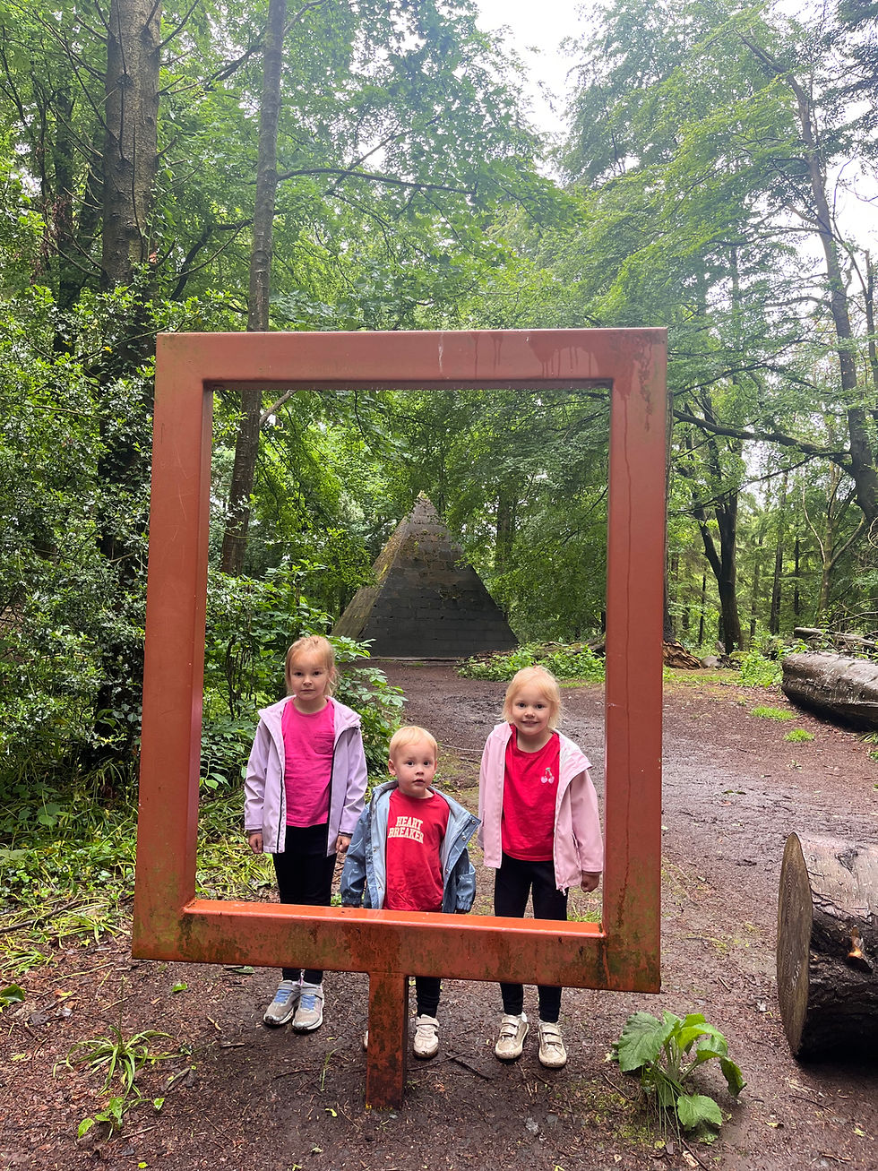 Garvagh Forest