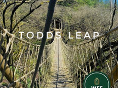 Todd’s Leap