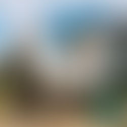 Tollymore Forest Park