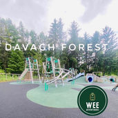 Davagh Forest