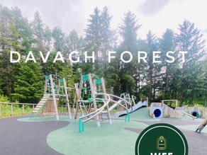 Davagh Forest