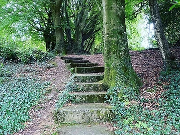 Claudy Country Park