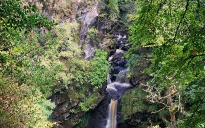 Ness Country Park photo 1