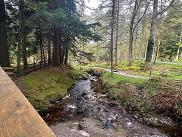Gortin Glen Forest Park