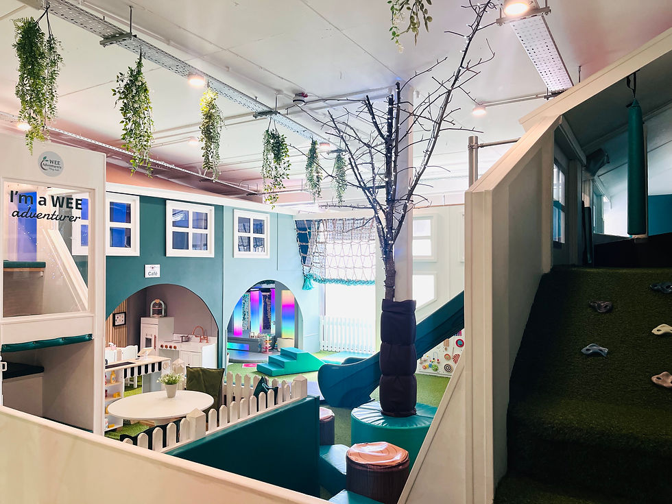 Wee Adventurers Play Hub