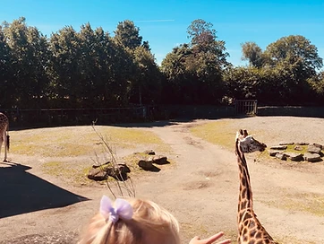 Belfast Zoo