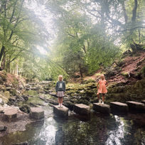 Tollymore Forest Park