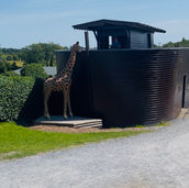 The Ark Open Farm