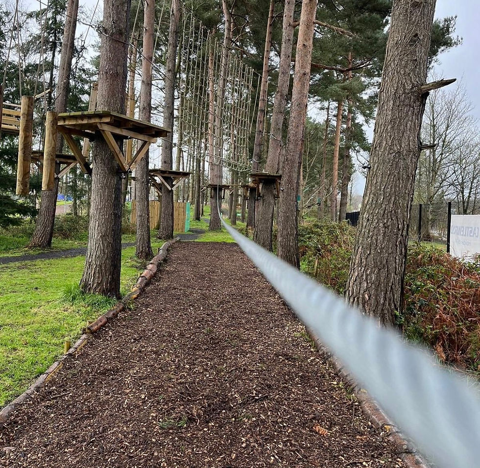 Castlewood Tree Top Adventure