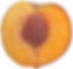BABYGOLD 6