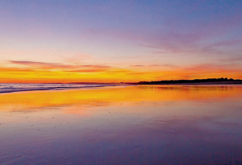 CAPTAR OS FOGOS-DE-ARTIFÍCIO COM GOSTO PELA FOTOGRAFIA NOCTURNA