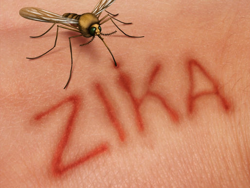 🥇 Previna-se contra Zika vírus