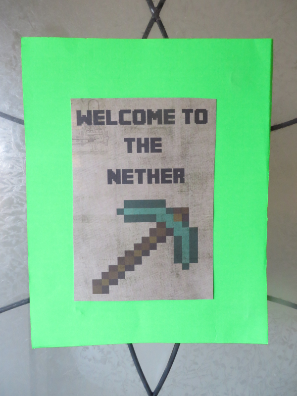 Party of the Day:  Minecraft Party