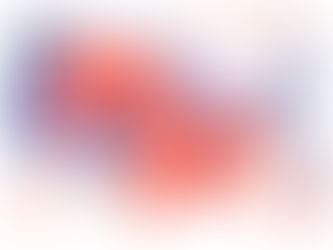 Impact of the upcoming US presidential election on different financial markets - November 2024