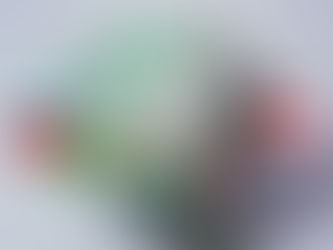 Debt Monitor - Emerging Markets - Weekly