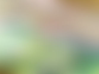 Debt Monitor - Emerging Markets - Weekly