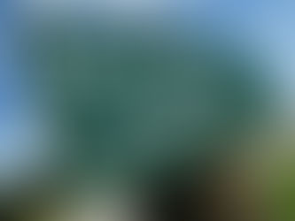 Debt Monitor - Emerging Markets - Weekly