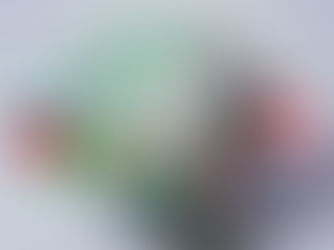 Debt Monitor - Emerging Markets - Weekly