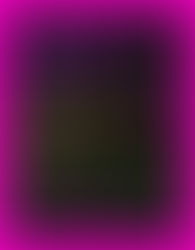 Charlotte Roval Weekend Schedule