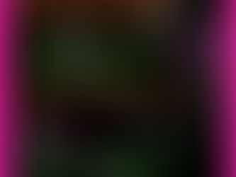 Richmond Weekend Schedule