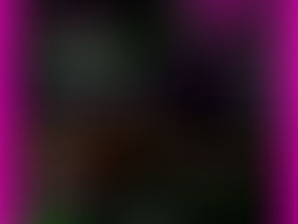 Gateway & Portland Weekend Schedule