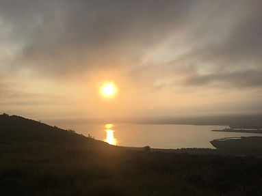 IMG_1310.jpeg