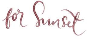 Pixel layer Image (4).png