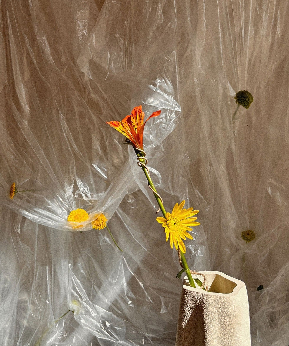Thumbnail: Amanitas Tall Vase | Sandstone