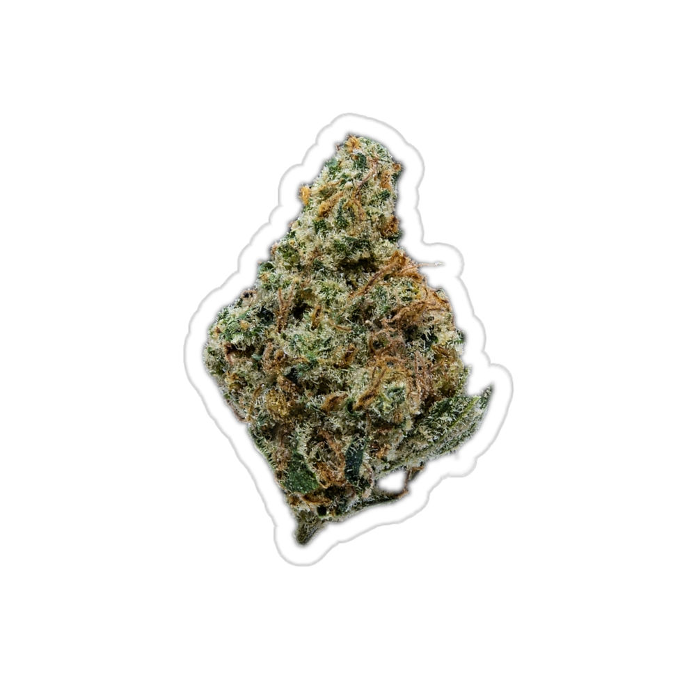 Sr. Limpio - Pegatina