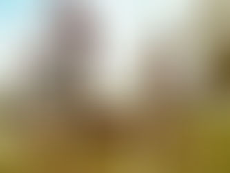 MASTER CICLI POZZI HA INCORONATO I CAMPIONI NAZIONALI XC ACSI 2019, AL 2° TROFEO CICLI MAGGIONI