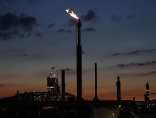 Companies Brace Themselves for New ESG Regulations Under Biden
