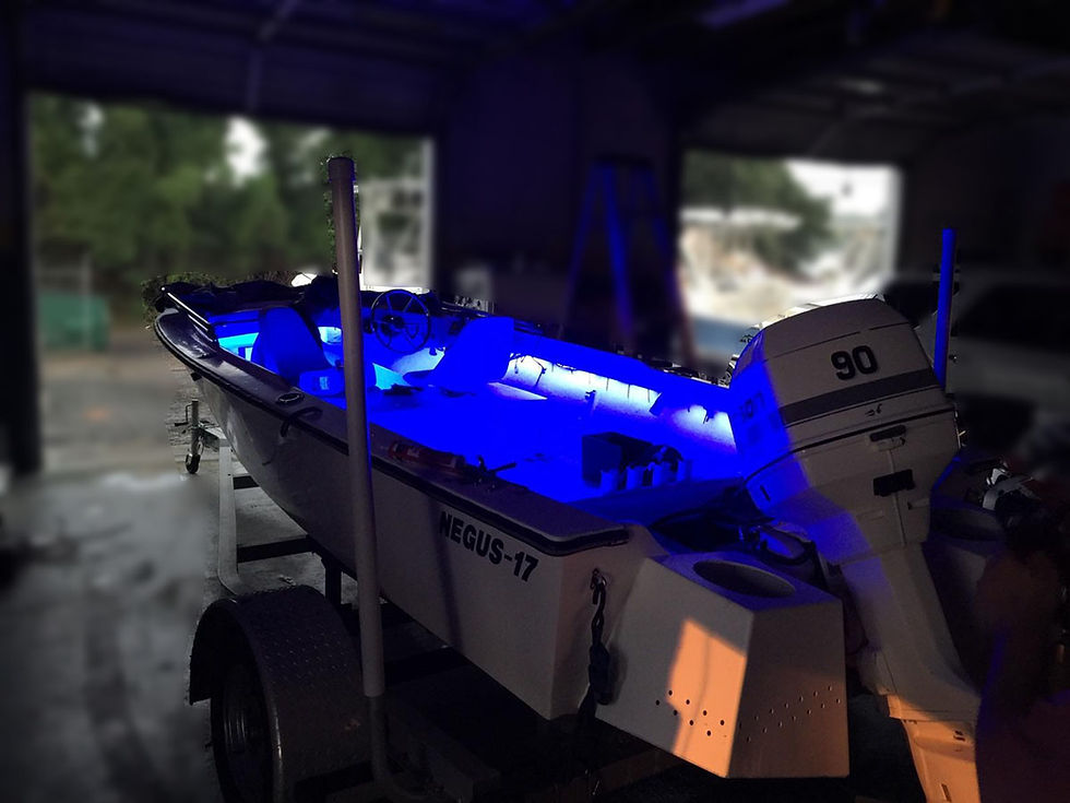 Negus 17 Race Sport LEDs