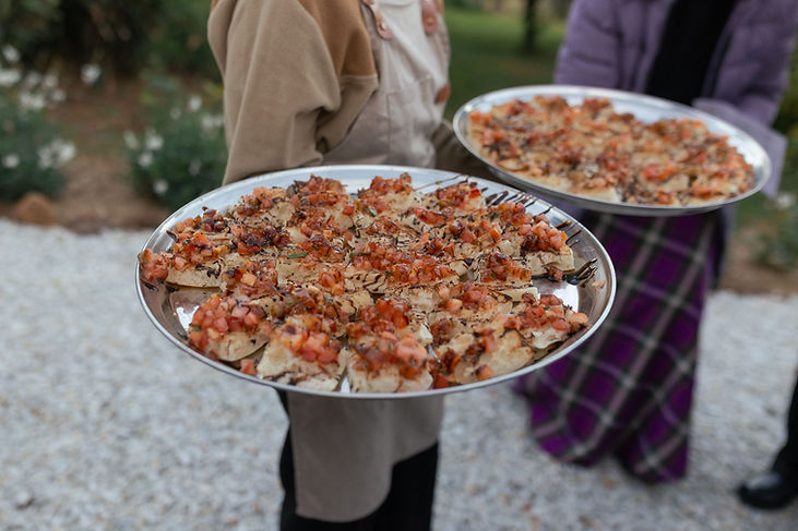 mobile catering food.jpg