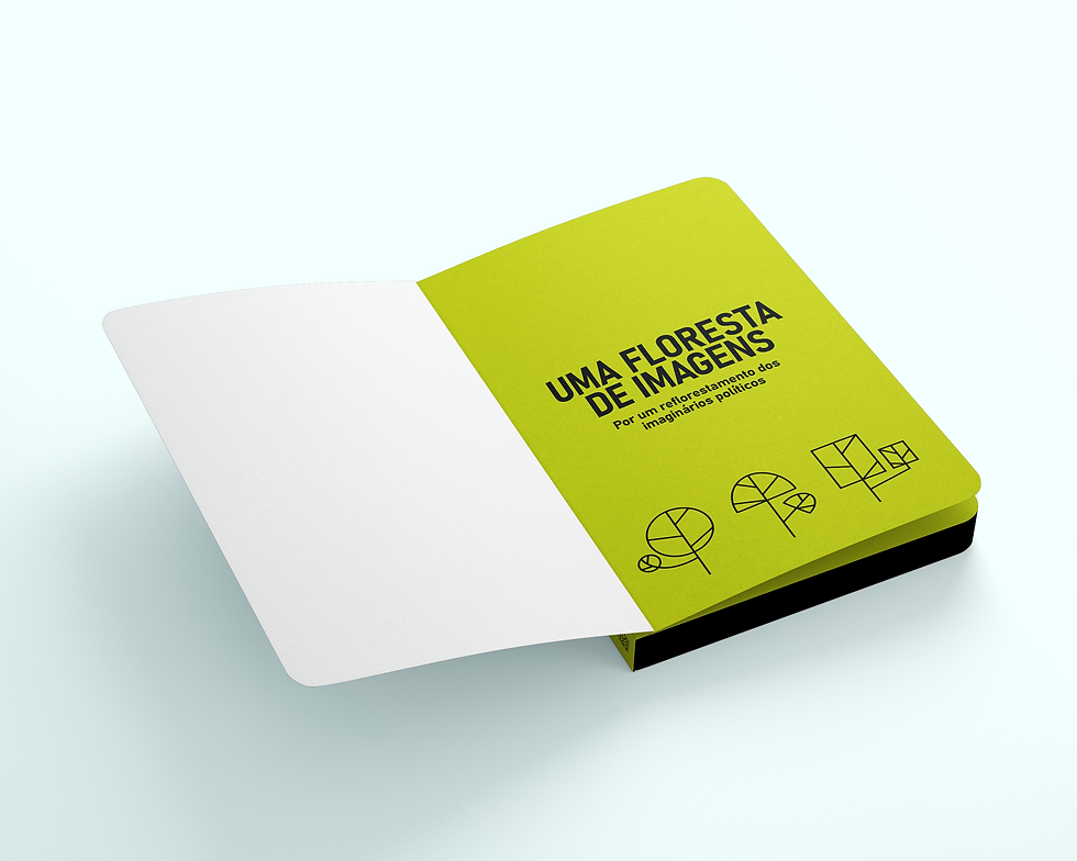 Falsa folha de rosto