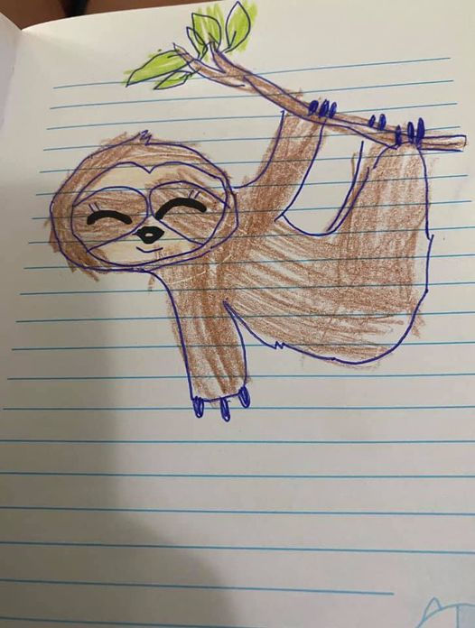 Home Glastonbury Pediatrics, PLLC