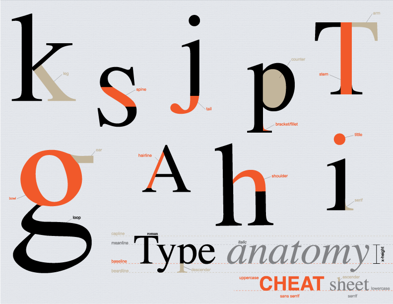 TYPE ANATOMY