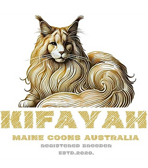 Kifayah Maine Coons Australia_edited_edi