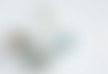 Transitie versus Traditie