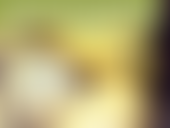 November Seasonal Vegetables