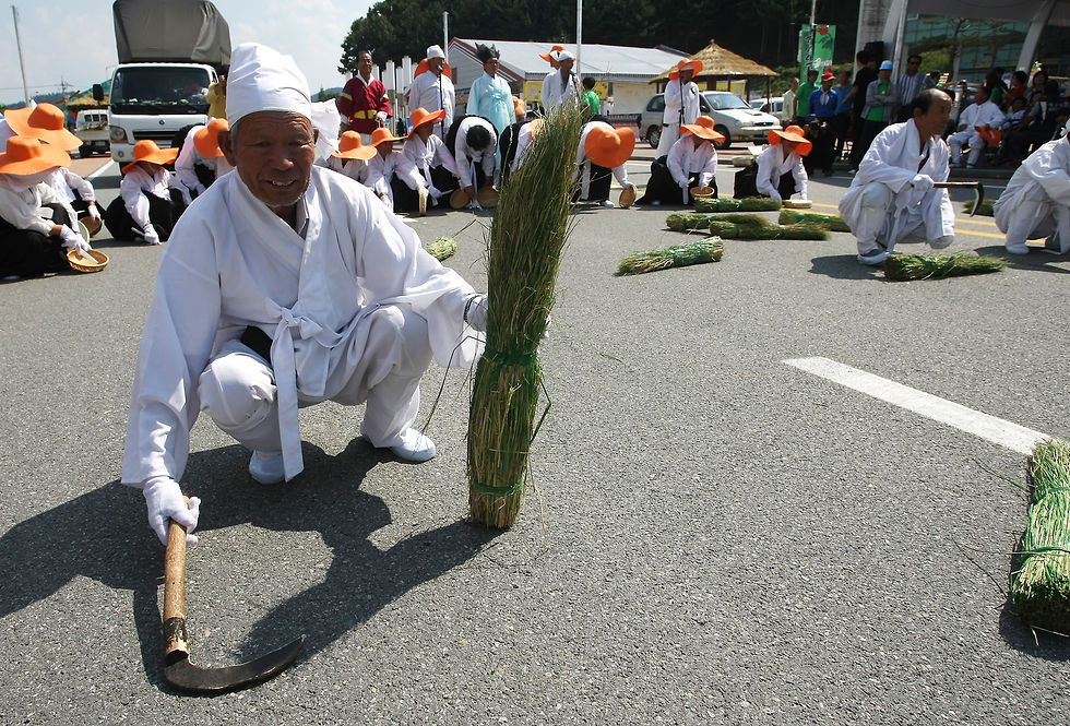 금산인삼축제_0916