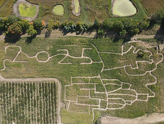 2025 Haunted Maze sw.jpg