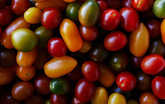 tomatoes